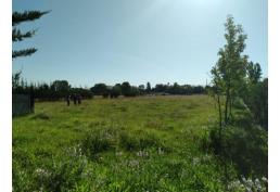 Parcela plana a 3,3 kms de San Carlos, Ñuble