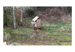 vendo hermosa parcela a 20 min. de Villarrica