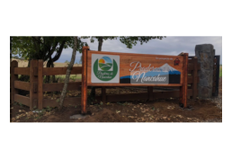 vendo hermosa parcela a 20 min. de Villarrica