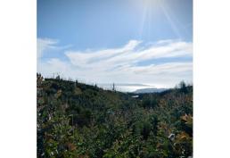 Terreno urbano con hermosa vista al mar en Tomé