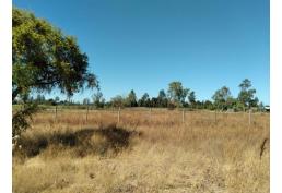 Parcela a 15 min. de San Carlos, Ñuble