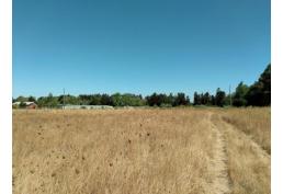 Parcela a 15 min. de San Carlos, Ñuble