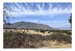 Parcela En Escorial, Pantanal, Sector La Gloria, Paine