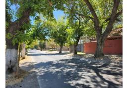Se Arrienda Terreno En Centro De La Comuna De