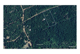 Parcela 1 hectárea en Longaví con bosque nativo