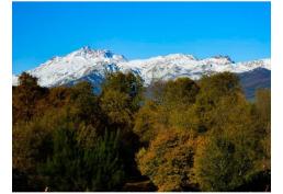 Parcela 1 hectárea en Longaví con bosque nativo