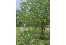 casa con terreno 16000 m2 piscina, quincho, hermoso lugar