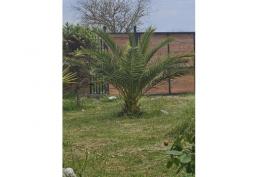 casa con terreno 16000 m2 piscina, quincho, hermoso lugar