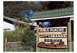 Sitio con negocio turístico funcionando: ruta n55 Km 64 Camino a Termas de Chillán.