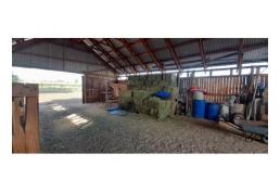 Hermosa parcela en comuna de Pelarco ,séptima región.