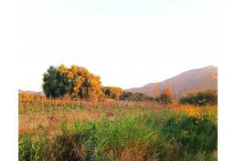 MARAVILLOSA PARCELA CON 2 VIVIENDAS NUEVAS EN EL TAMBO