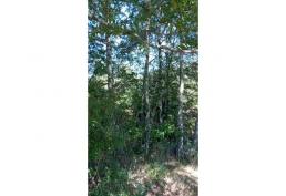 Predio 10 has en Huellanto