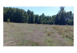 Predio 10 has en Huellanto