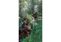 Predio 10 has en Huellanto