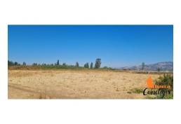 Se vende terreno urbano en Teno