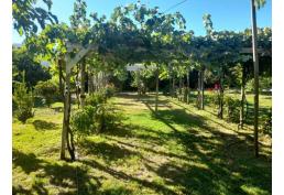 Se Vende Parcela De Agrado En Comuna De Alhué