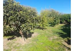 Se Vende Parcela De Agrado En Comuna De Alhué