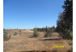 Venta de Terrenos en Placilla de Peñuelas, Valparaíso