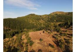 Terreno de 3,4 hectáreas en Huequil, San Javier