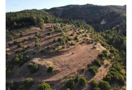 Terreno de 3,4 hectáreas en Huequil, San Javier