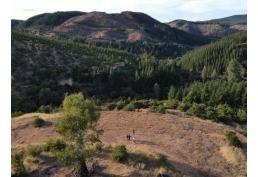 Terreno de 3,4 hectáreas en Huequil, San Javier