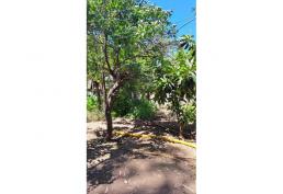 Espectacular Terreno en Quilpué, Belloto Norte