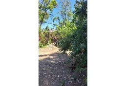 Espectacular Terreno en Quilpué, Belloto Norte