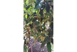 Espectacular Terreno en Quilpué, Belloto Norte