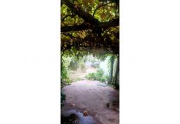 CASA EN COELEMU, ÑUBLE 3D1B2E,