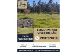 Portezuelo, Condominio Vive Chillan