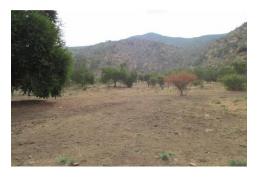 Se Venden 2 Parcelas de 5000 m2 cada una, comuna de Curacaví