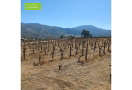 Venta de Parcela en La Pitigua, San Javier