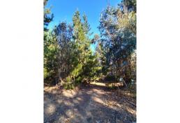 VENTA DE TERRENO EL TOTORAL / EL QUISCO