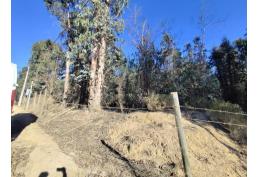 VENTA DE TERRENO EL TOTORAL / EL QUISCO