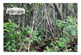 Hermosa Parcela -Sector Lauca / Región de Los Lagos