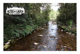 Hermosa Parcela -Sector Lauca / Región de Los Lagos