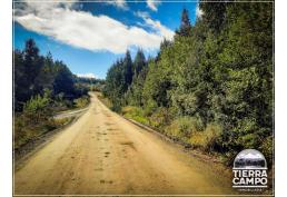Hermosas parcelas sector El Mañio P6D - Puerto Varas a la costa