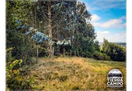 Hermosas parcelas sector El Mañio P6D - Puerto Varas a la costa