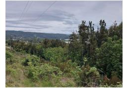 Terreno 1.1 H en Molulco, Chiloé.