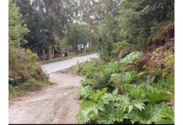 Terreno 1.1 H en Molulco, Chiloé.