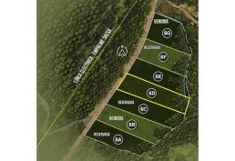 Hermosas parcelas sector El Mañio P6D - Puerto Varas a la costa