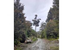 Oportunidad de invertir en el Lago Huillinco