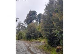 Oportunidad de invertir en el Lago Huillinco