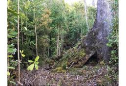 Oportunidad de invertir en el Lago Huillinco