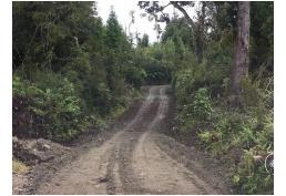 Oportunidad de invertir en el Lago Huillinco