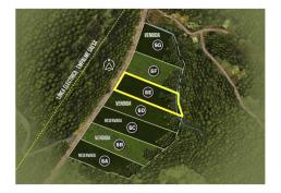 Hermosas parcelas sector El Mañio P6E - Puerto Varas a la costa