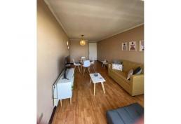 Hermoso departamento Ñuñoa