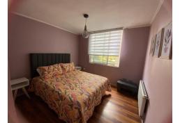 Hermoso departamento Ñuñoa