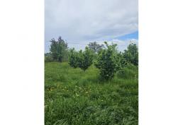 Parcela de agrado con hermosa casa, 16000m2