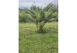 Parcela de agrado con hermosa casa, 16000m2